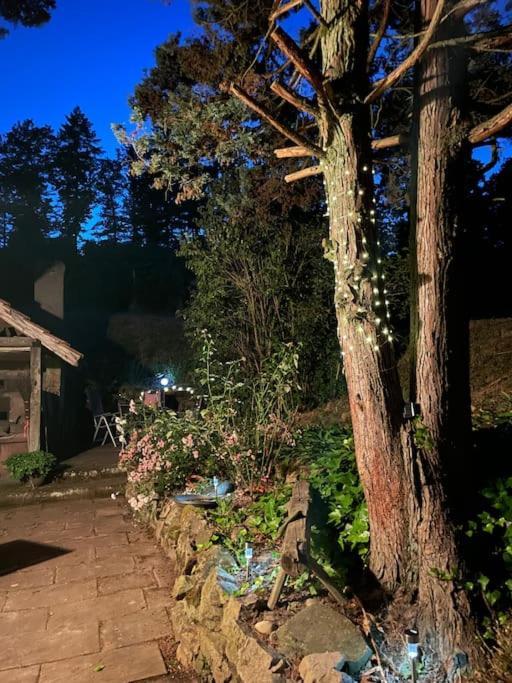 Rebhaus Durbachヴィラ エクステリア 写真